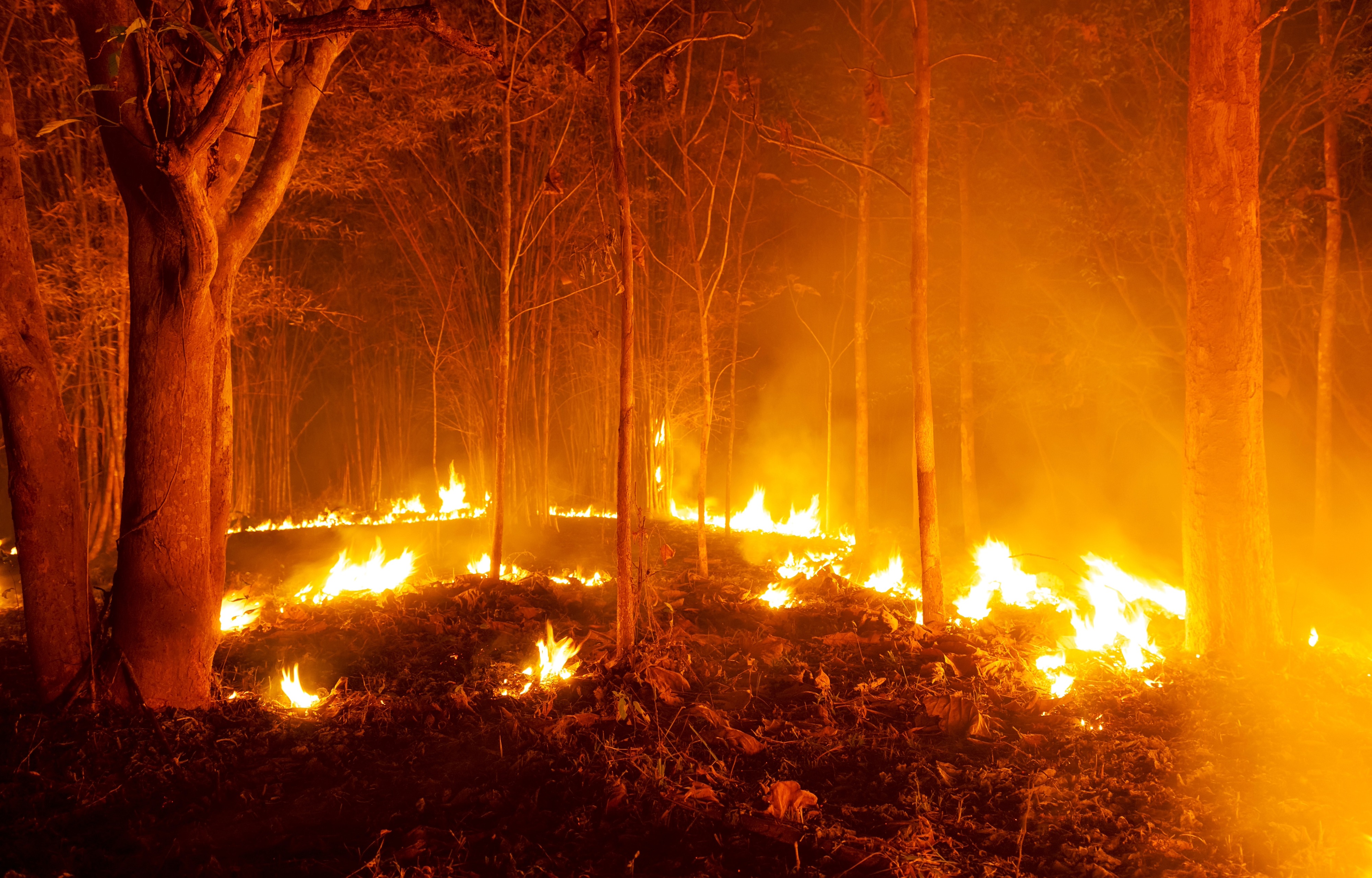 Incêndio florestal